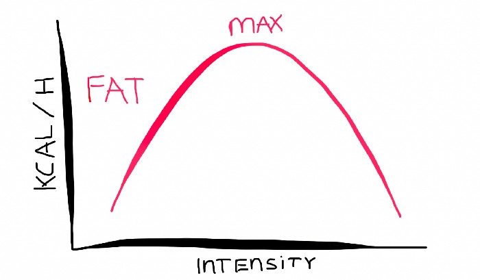 Avaliação da FATMAX :: EP TRAINING PLANS